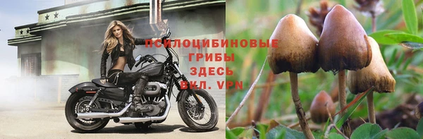 эйфоретик Богородицк