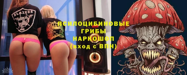 сатива Бронницы