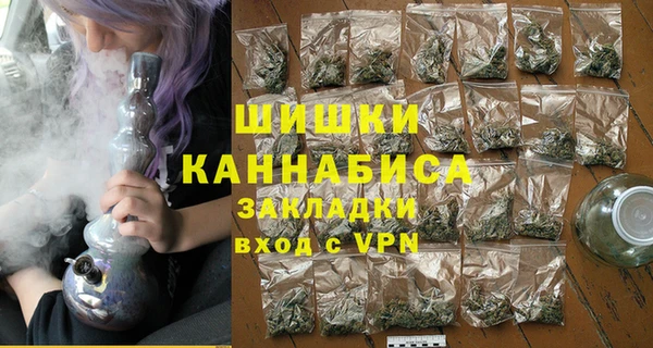 сатива Бронницы