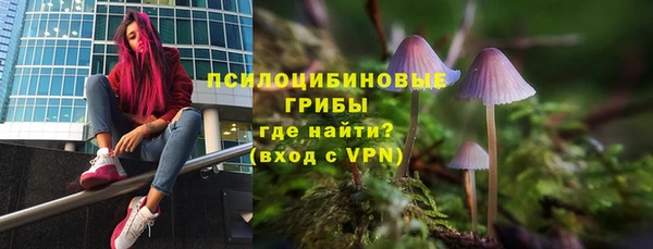прущая мука Богданович