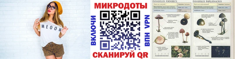 kraken сайт  Южно-Сахалинск  Псилоцибиновые грибы Psilocybe 